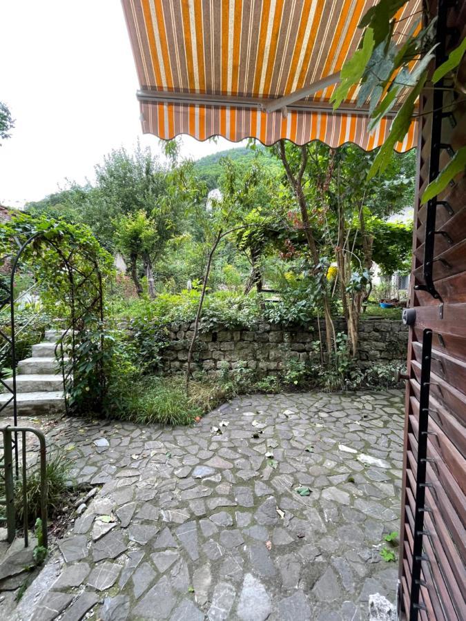 Maan Central Apartment Pet Friendly Location Μπρασόβ Εξωτερικό φωτογραφία